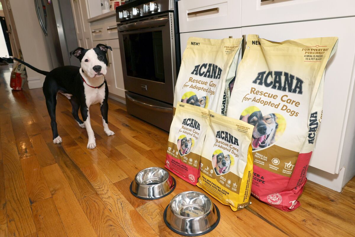 Beef industry could learn from 'Champion' pet food maker