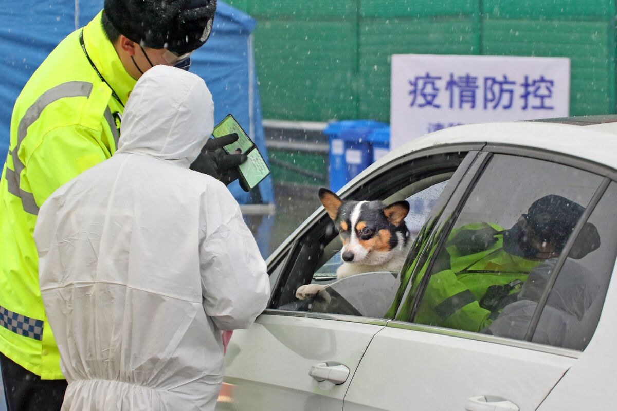 Coronavirus in China May Break Car Dealers Despite Stocks Rally Bloomberg