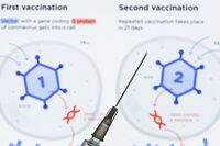 EU Keeps Global Vaccine Supply Alive Amid Uneven Home Rollout