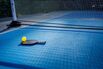 Texans Embrace Pickleball's Increasing Popularity