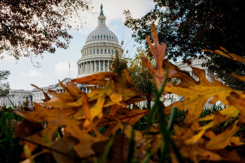The US Capitol in Washington, DC