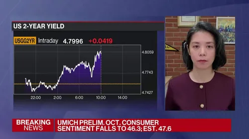 US Consumer Sentiment Hits 46.3 in October 2026 | Critical Demand Headwind for E-Commerce Sellers