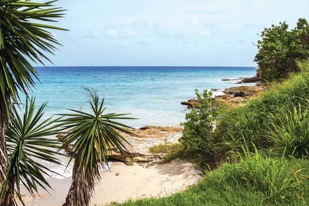 Payday Lenders at Play on Caribbean Yachts