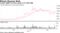 Largest digital currency surges to 5-week high