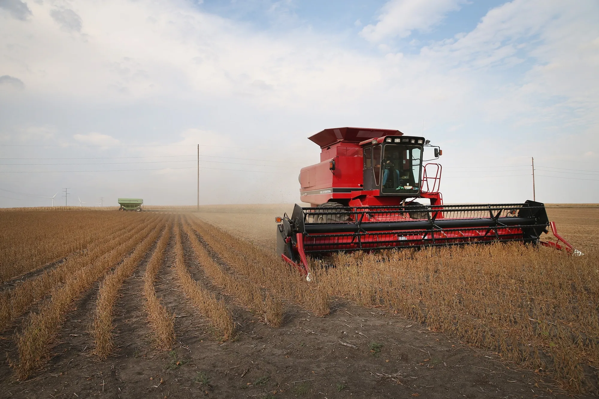 A farmer harvests soybeans&nbsp;near Worthington, Minnesota.&nbsp;