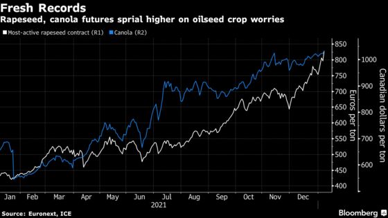 Highest Ever Vegetable Oil Prices Risk Even Faster Inflation