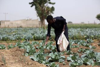 A farmer spreads fertilizer