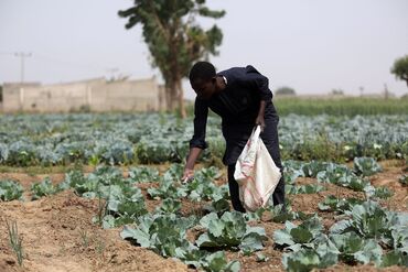 A farmer spreads fertilizer