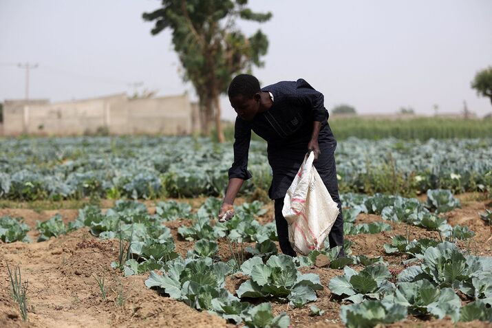 A farmer spreads fertilizer