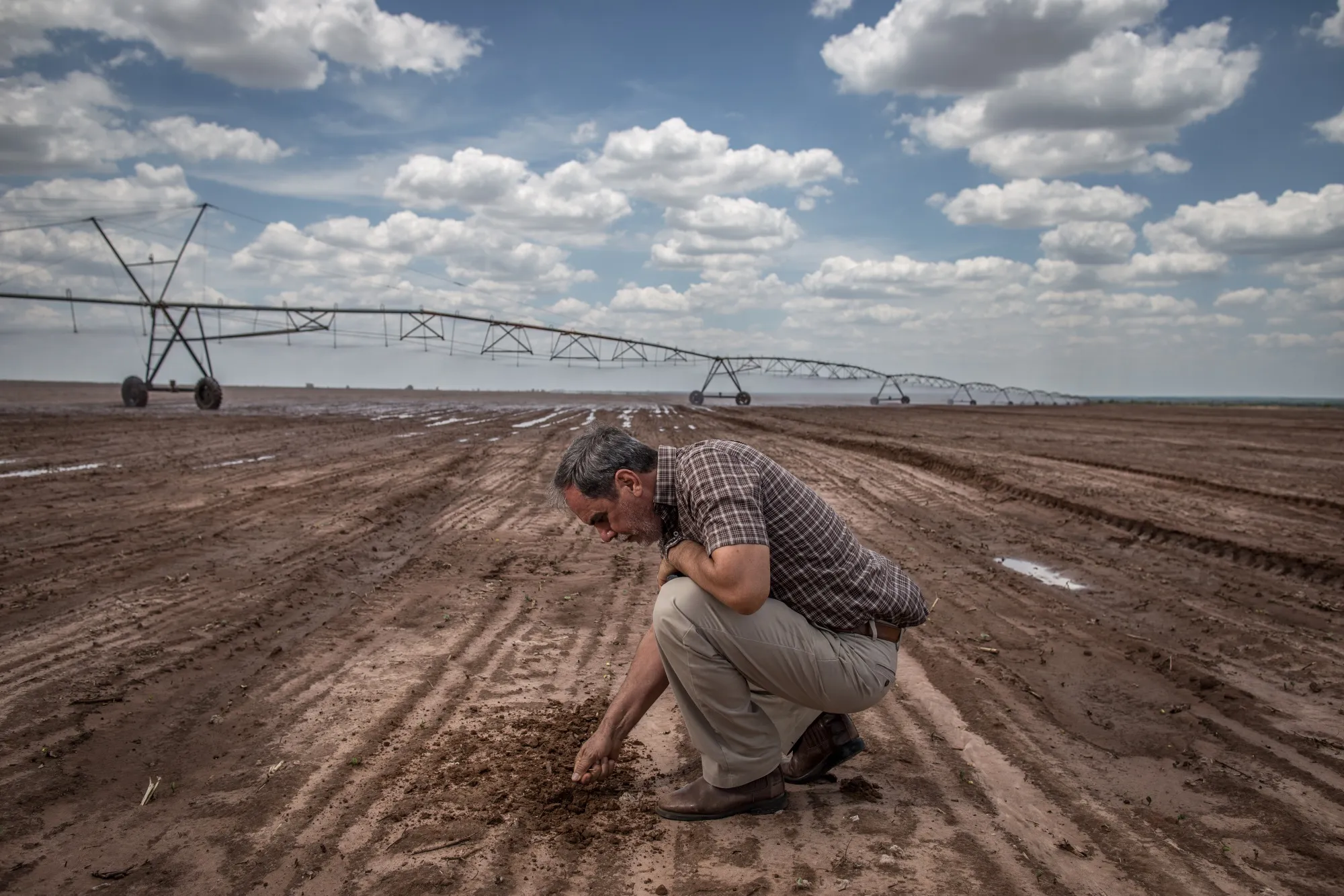The Pessimist's Guide To 2019 Fire, Floods And Famine