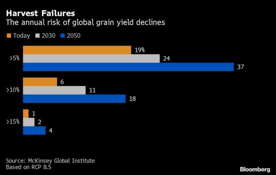 Climate Change May Double the Risk of Breadbasket Failures