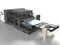 V-Technology's partial laser annealing system