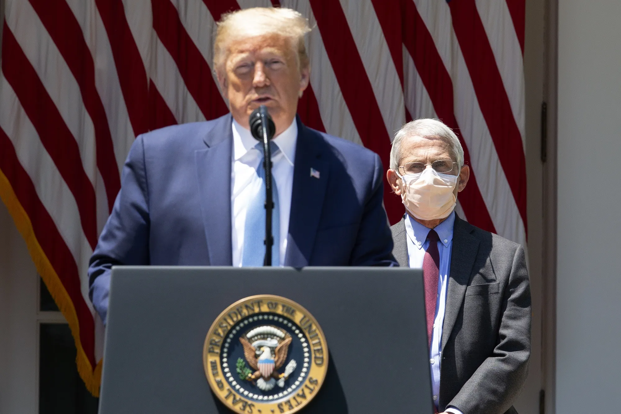 Anthony Fauci listens while Donald Trump speaks on May 15.