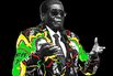What the Fall of Mugabe Means
