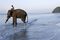 Havelock Island, Andaman & Nicobar Islands, India, Indian Sub-Continent, Asia