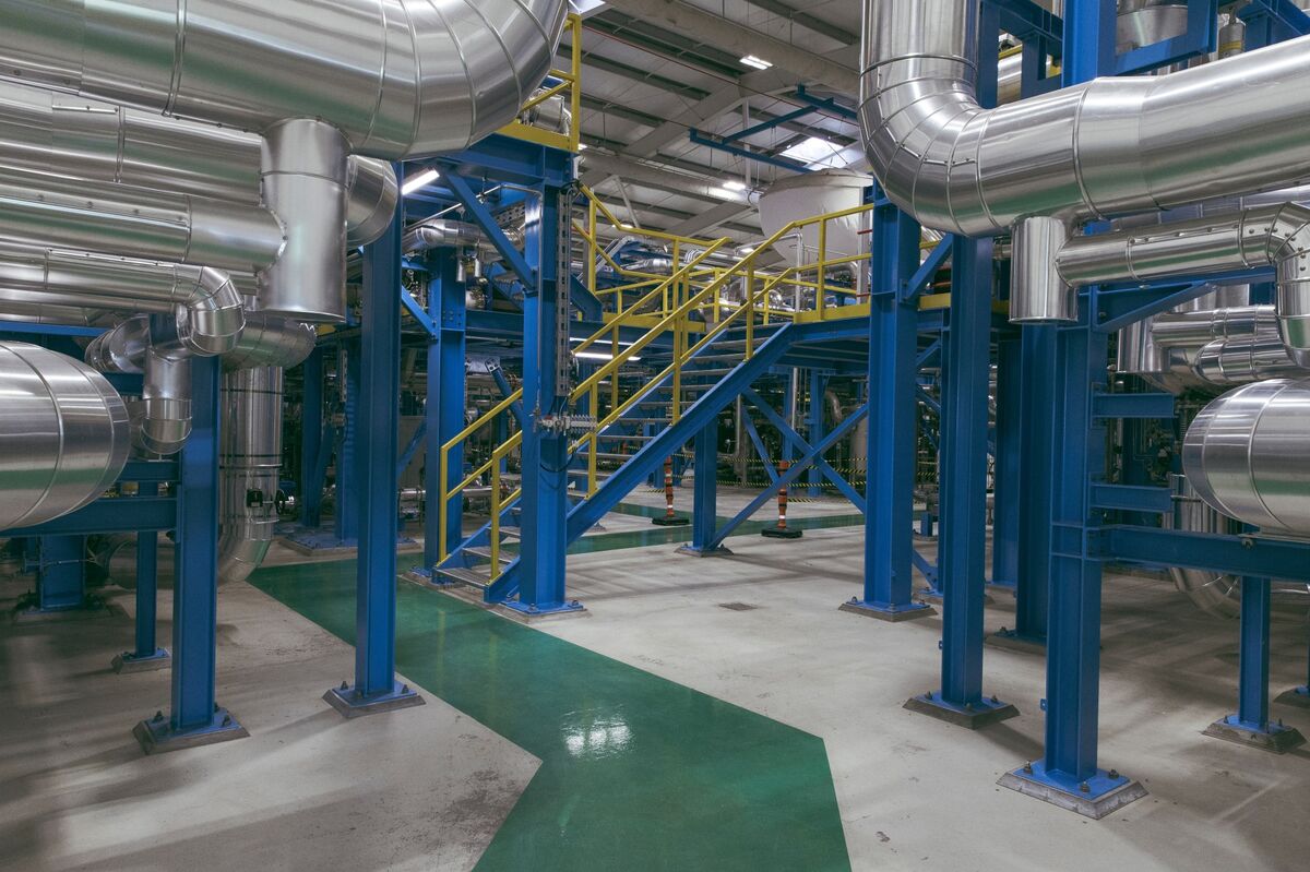Anthropic Backs $915 Million Fund for Carbon Removal Projects