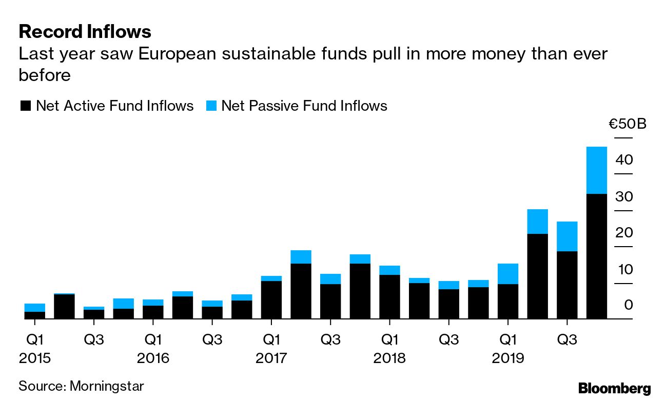 More investments in the IT market (based on European funds): Roweb