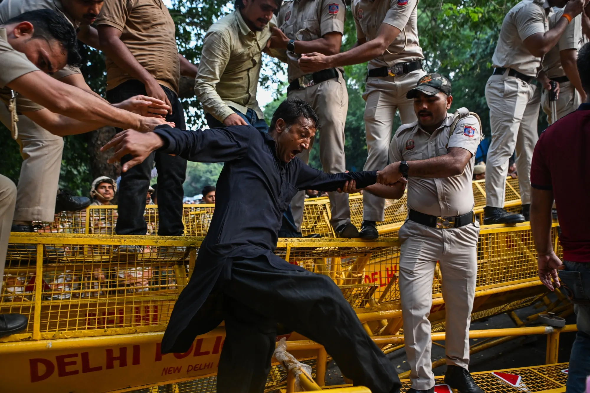 Cockroach Climb Cockroach Party Evolves Into Indian Prime Minister Modi’s Opposition ...