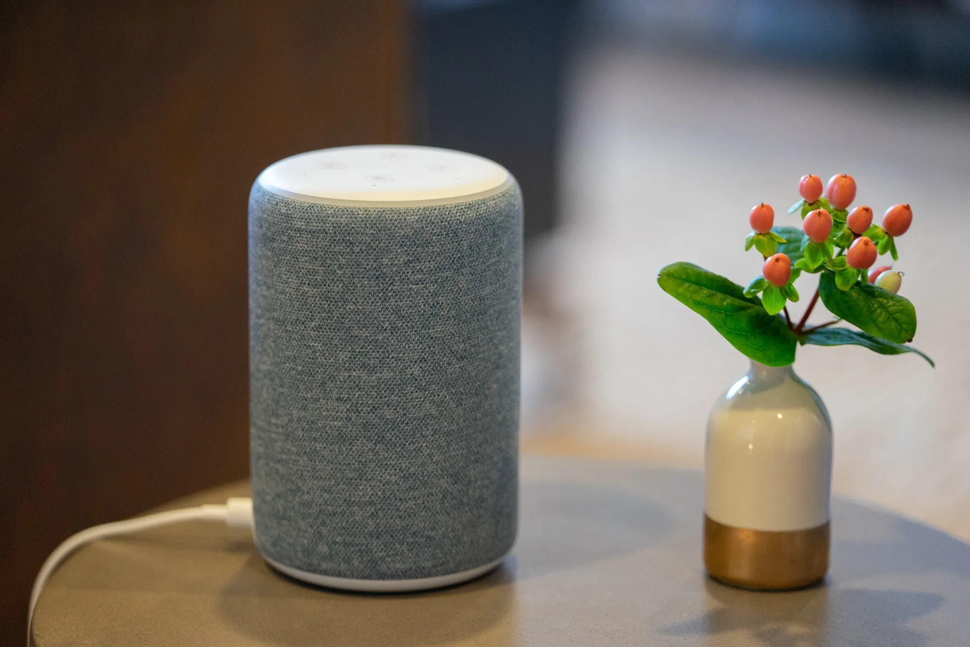 Alexa, what’s the business plan?&nbsp;