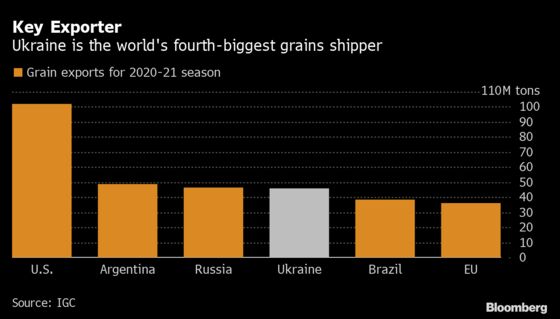 Ukraine’s New Farm Chief Vows to Keep Food Exports Flowing