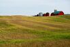 Dairy Operations At Mount Kolb Farm As Farmer Take Hit While New Accord Opens Market