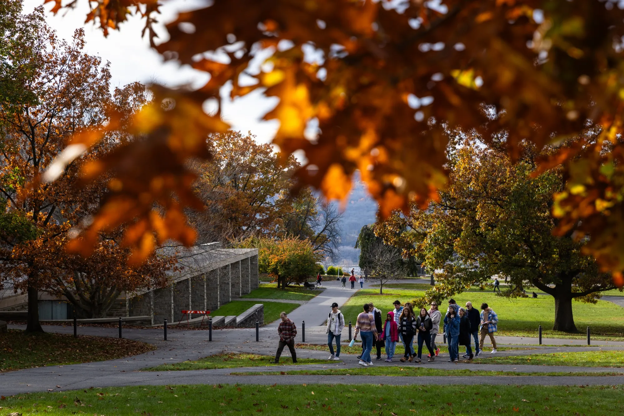A tour group on the Cornell University campus in 2023.