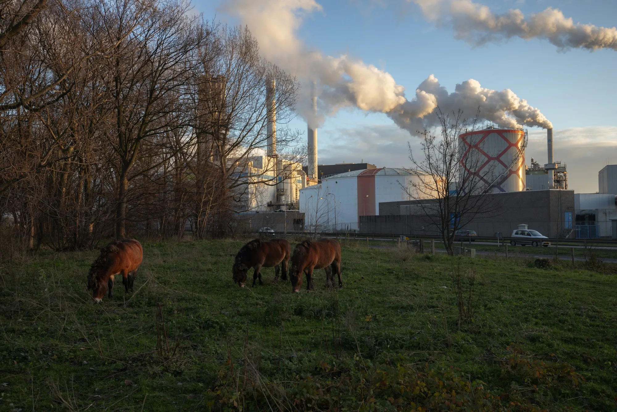 The AVR waste disposal facility in Rotterdam, Netherlands.