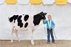 Big Dairy Enters the Era of Big Data