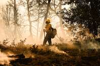 Wildfire Near Yosemite National Park Explodes In Size
