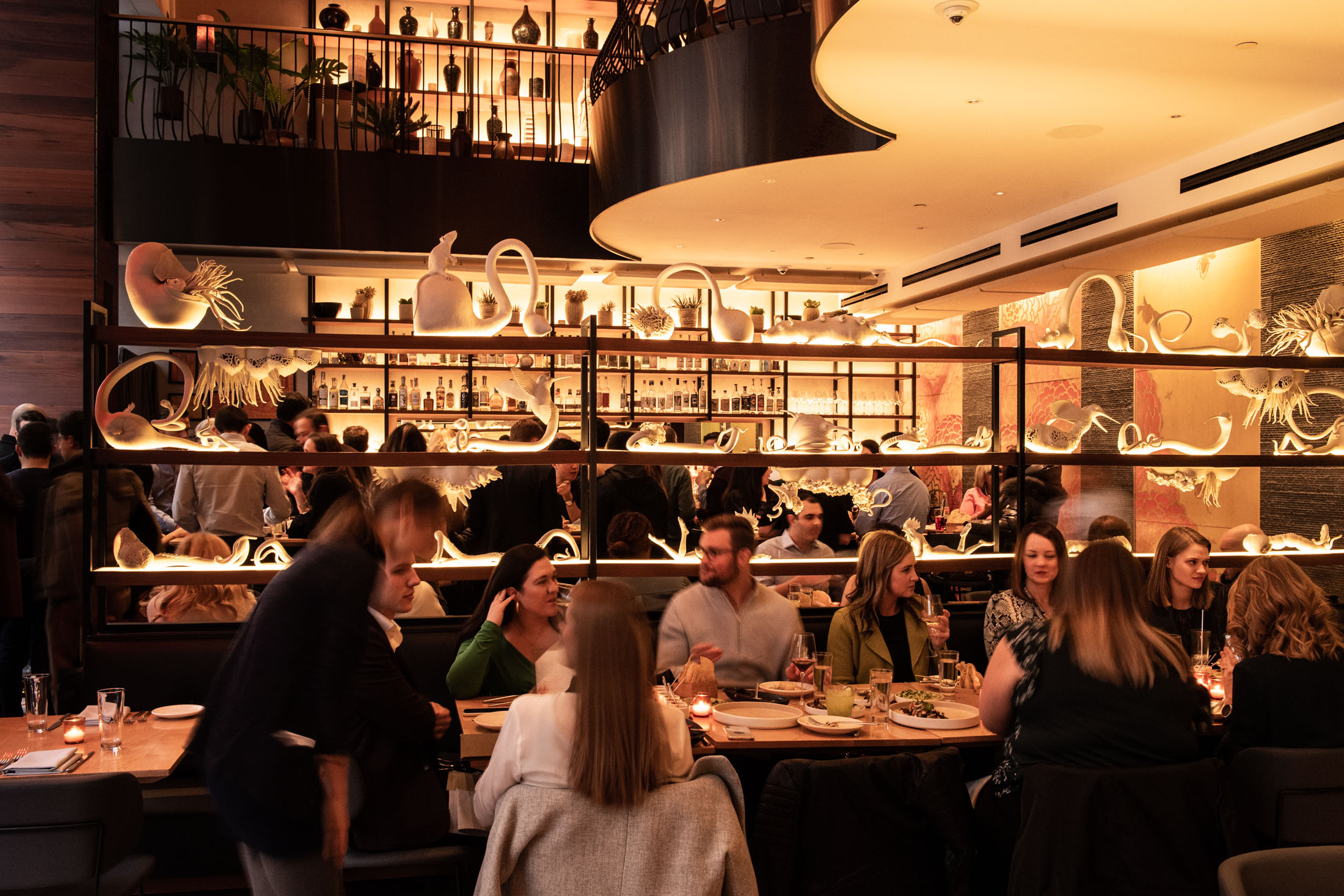 A midday crowd at Empellon in midtown Manhattan.