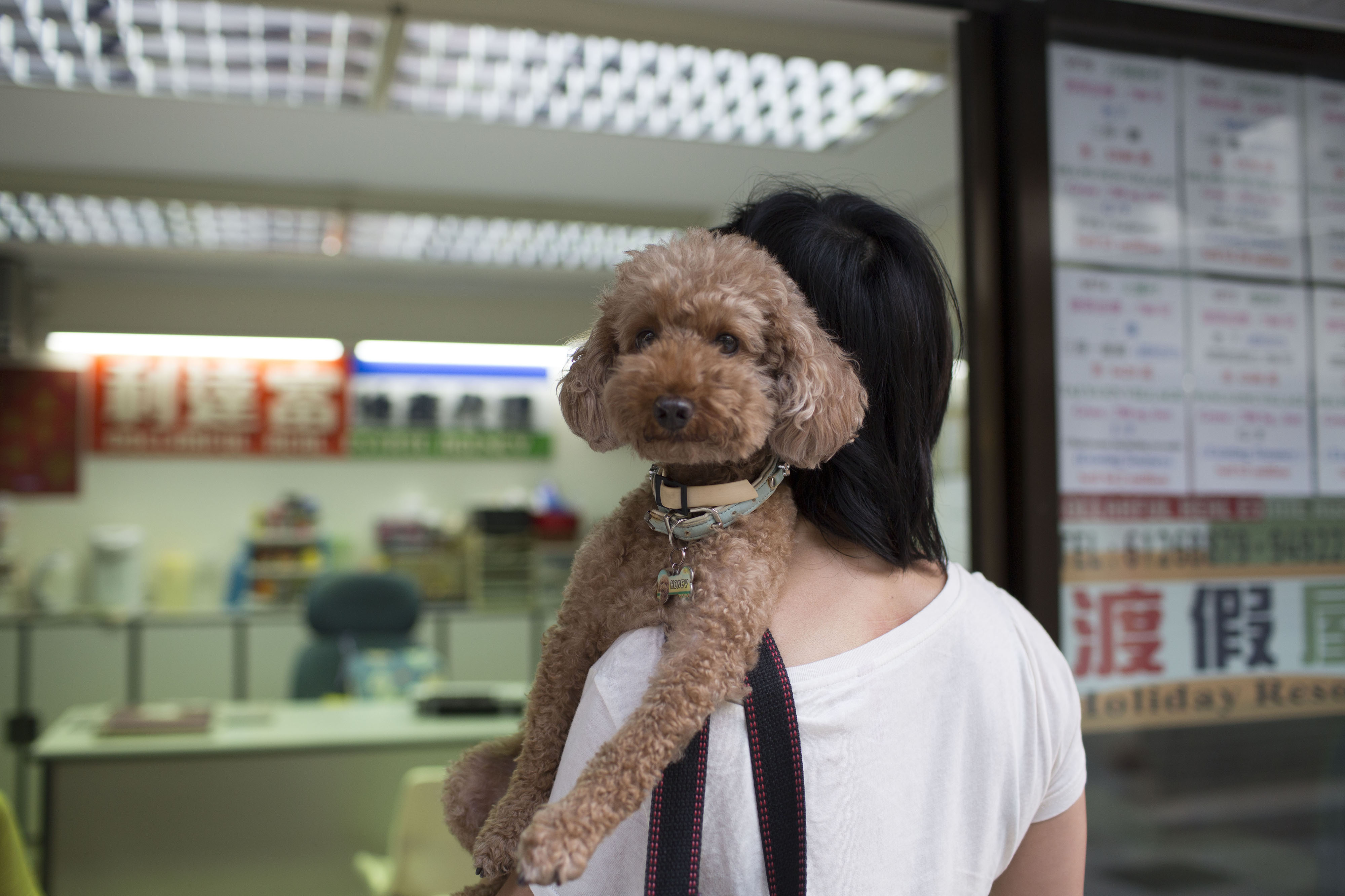 Goldman Backed Chinese Online Pet Store Is Said to Plan IPO