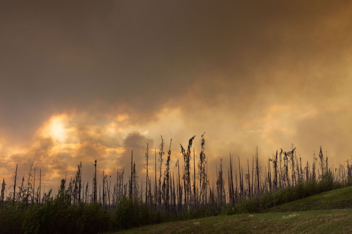 bloomberg.com - Alastair Marsh - Why Sustainable Finance Hasn't Moved the Needle on Climate Change