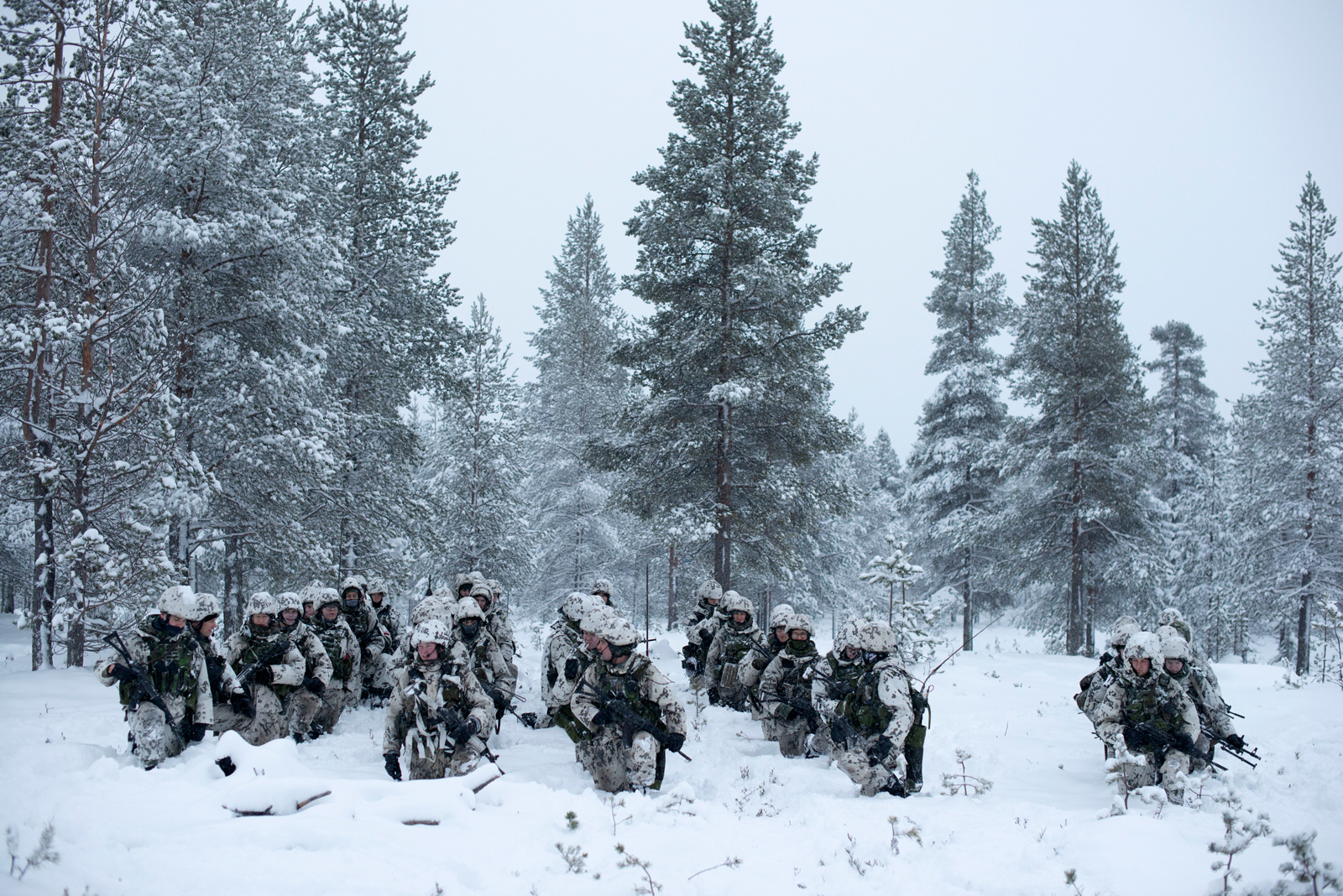 Five rows of Finnish soldiers wearing white camouflage uniforms and holding automatic weapons stand knee-deep in snow against a forest backdrop and overcast sky. They are mostly facing the camera while some toward the front are engaged in conversation.
