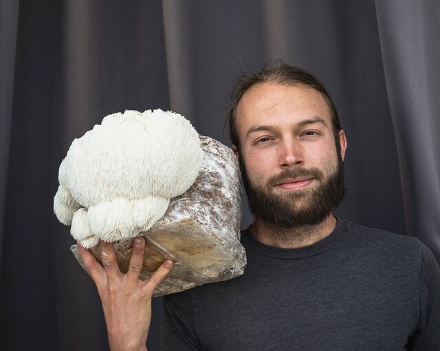 Zach Hedstrom, Founder of Boulder Mushroom, holds a mushroom block of Lion's Mane at his company's warehouse facility in Boulder, Colorado.
