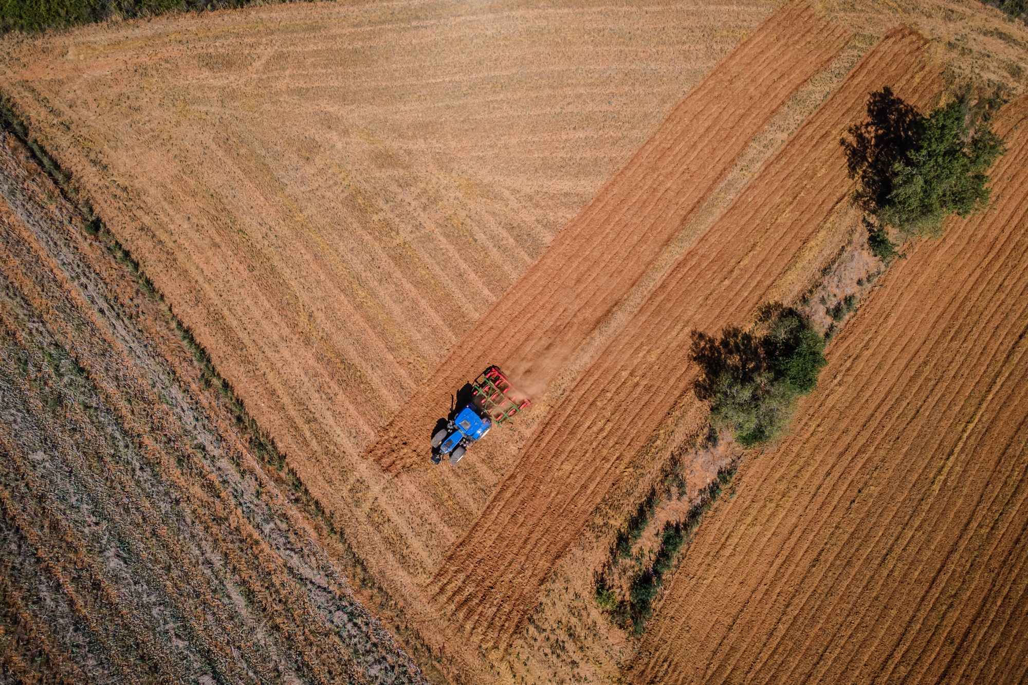 Carbon Solutions powered by Agriculture AI