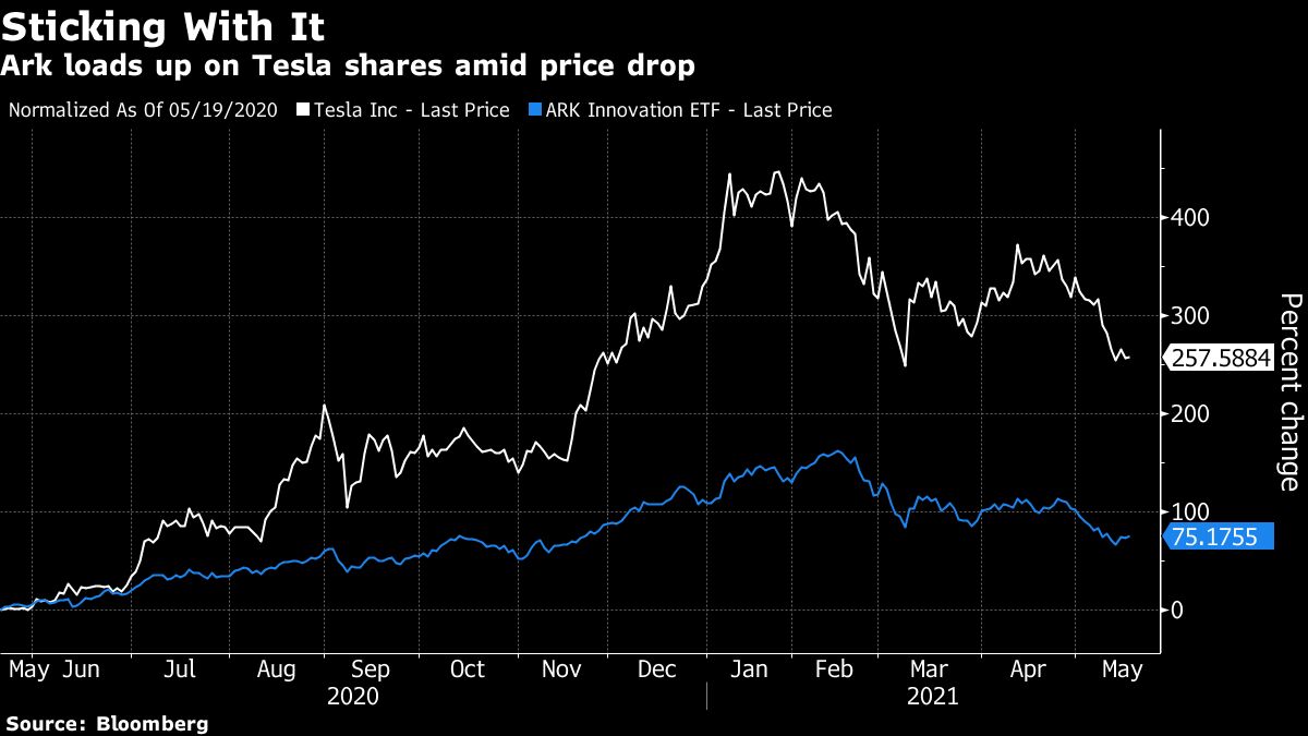 Cathie Wood Buys Tesla Amid Musk Bitcoin Spat, Burry Shorts - Bloomberg