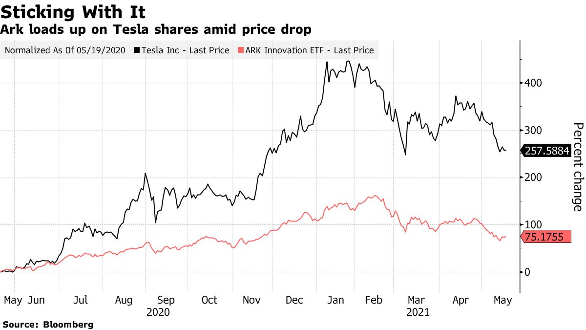 Cathie Wood Buys Tesla Amid Musk Bitcoin Spat, Burry Shorts - Bloomberg
