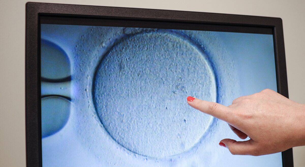 Billionaires Back Recharge’s 200 Million Women’s Health Fund Bloomberg