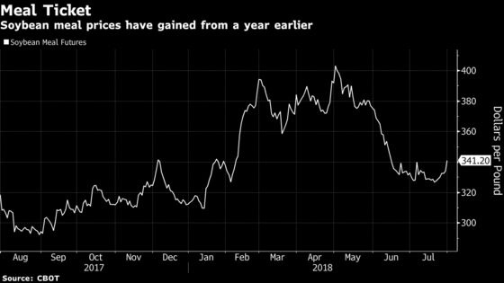 Bunge Takes Soybeans Loss After Wrong-Way Bet on Trade War