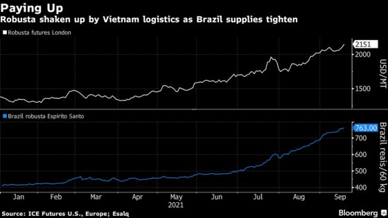 Robusta Coffee Extends Surge to 4-Year High as Supply Woes Mount