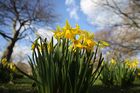 Sunny Weather In London Encourages Upcoming Spring Season