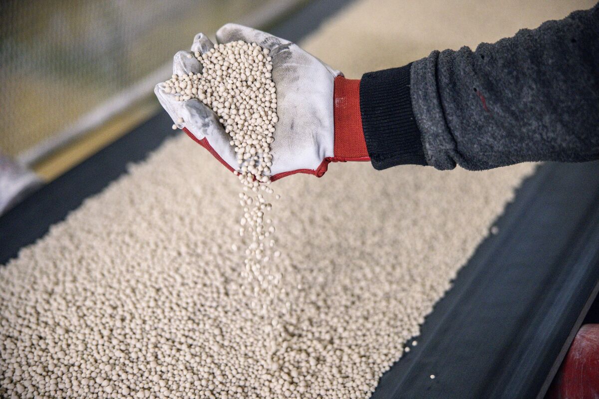 Turkey Set to Sign Deal With Russia to Boost Fertilizer Imports