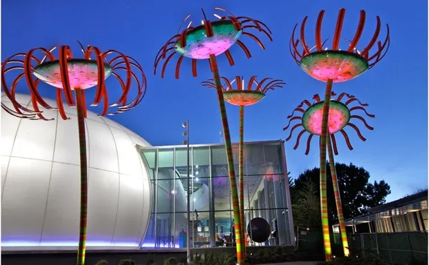 アート・デザイン・音楽 Canadion Landscapes アート・デザイン・音楽 Canadion Landscapes Windswept Pine