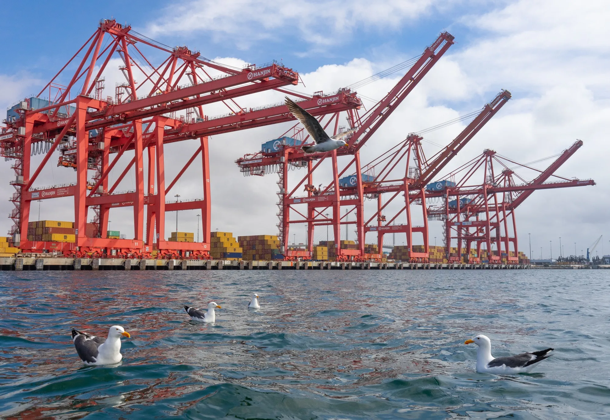 Gantry cranes at the Port of Long Beach in Long Beach, California.