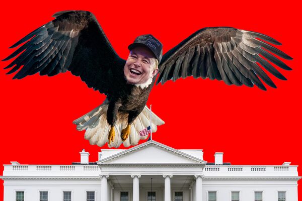 What Elon Musk Might Want From America