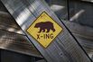 Palm Beach Zoo Debuts Grizzly Bear Cubs