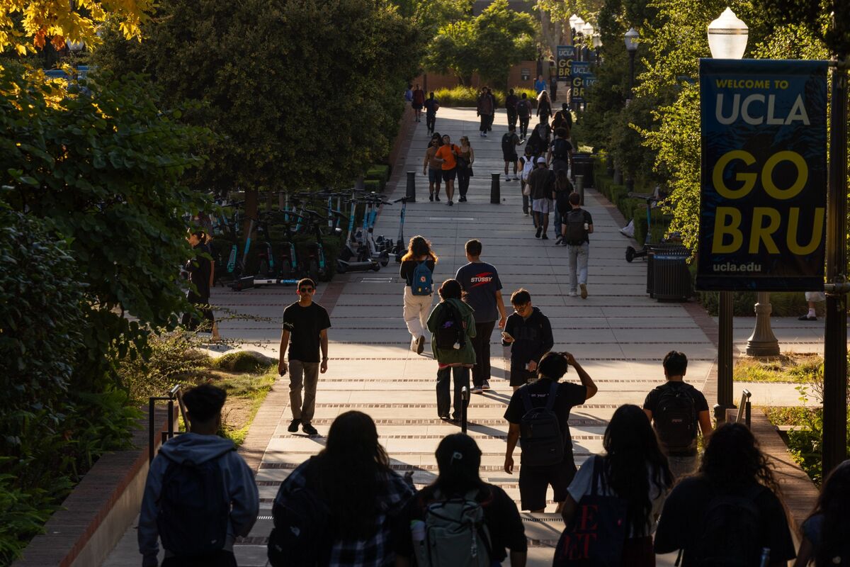 ⚫️ BLOOMBERG: Crescita delle iscrizioni nelle università e college statunitensi: +2% nel terzo anno consecutivo