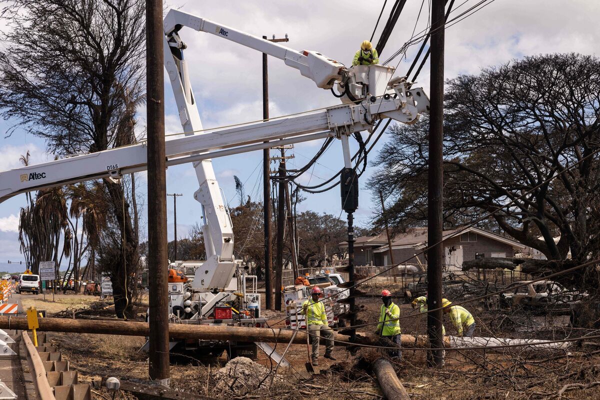 Hawaiian Electric Industries’ Stock Surges After Power Line Outage Linked to Deadly Wildfires