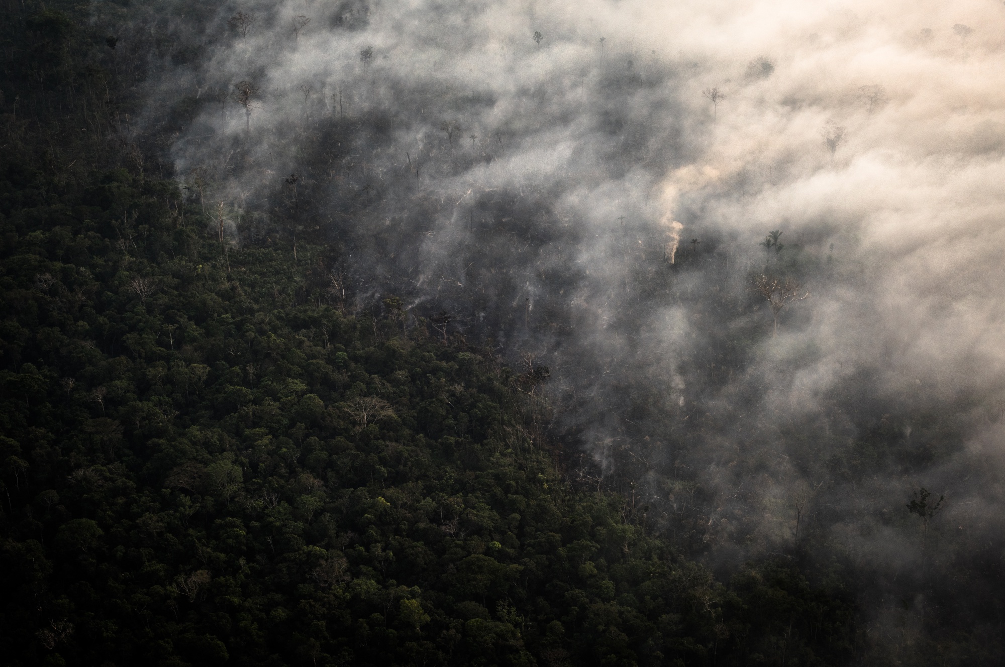 L'Amazonie brésilienne brûle à un rythme record