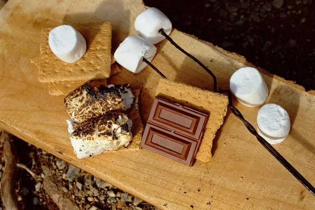 Guide to Making S'Mores 'Perfectly Captures What Is Wrong With Government'